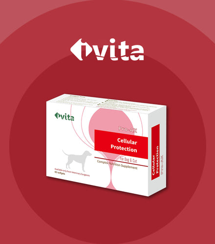 Ivita, Pro-Ax, Cellular Protection for Dogs & Cats, 蝦紅素,60pcs - my物