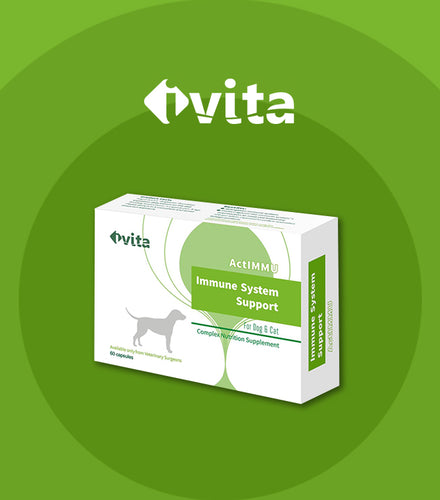 Ivita, ActIMMU, Immune System Support For Dogs & Cats, 速藻醣, 60pcs - my物