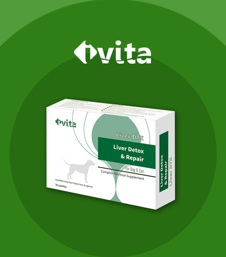 Ivita, Liver DTX, Liver Detox & Repair for Dogs & Cats, 樂甘寧, 60pcs - my物