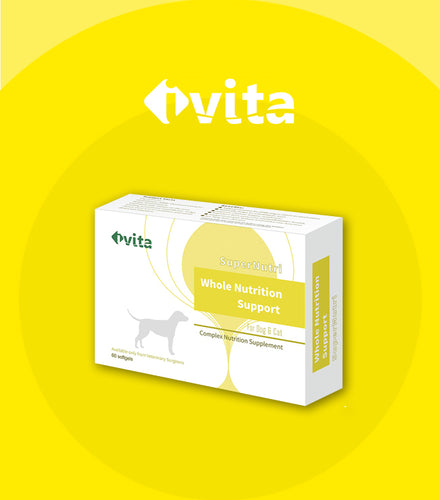 Ivita, Super Nutri, Whole Nutrition Support For Dogs & Cats, 速補樂, 60pcs - my物