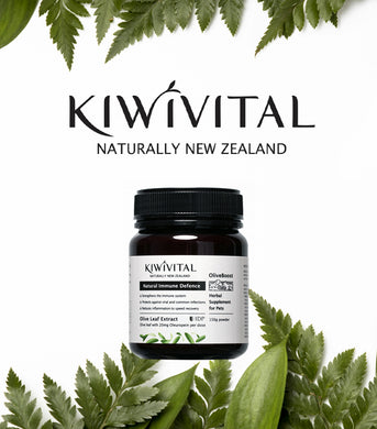 Kiwivital, Olive Boost, 草療營養專家 - my物
