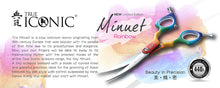 將圖片載入圖庫檢視器 True Iconic, Professional Scissors, Rainbow – Minuet - my物
